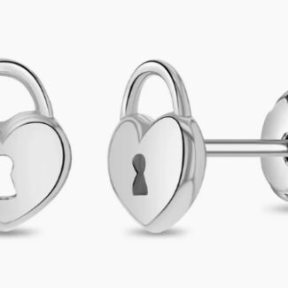 A Locked Heart Girls Earrings