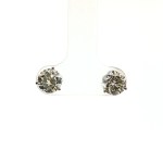 14k White Gold Diamond Stud Earrings (2.00ctw)