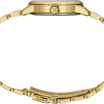 Seiko Essentials Champagne Dial Watch